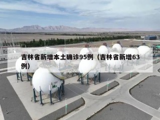 吉林省新增本土确诊95例（吉林省新增63例）