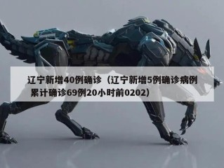 辽宁新增40例确诊（辽宁新增5例确诊病例 累计确诊69例20小时前0202）
